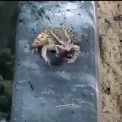 Food? Ew! What are you?