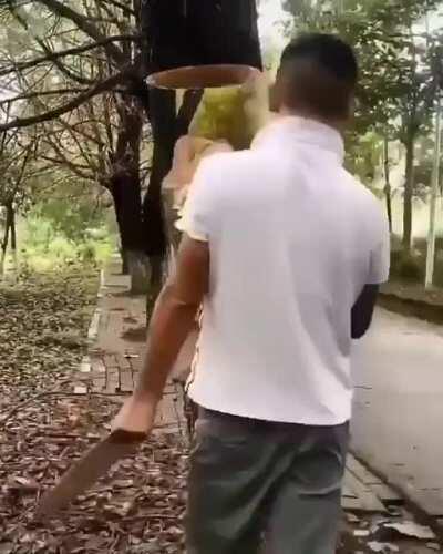 Paints a painting that blends with the surrounding