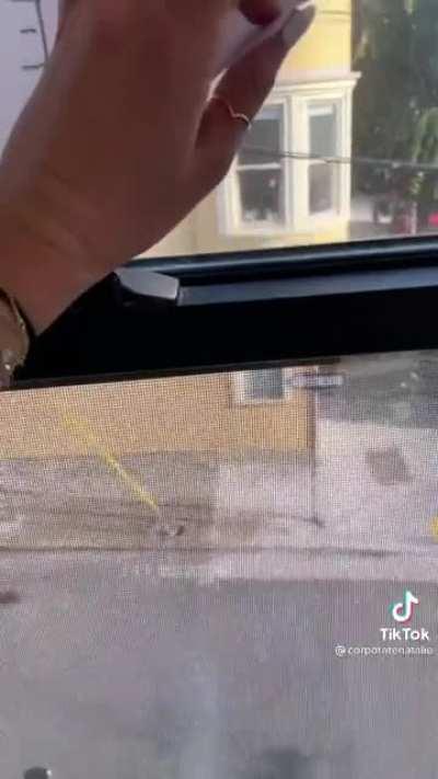 Yah this seems like a good idea.