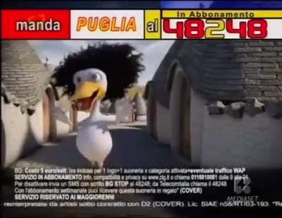 Cosa è precisamente