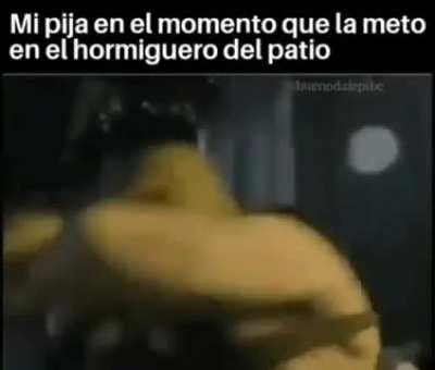 Si pasa