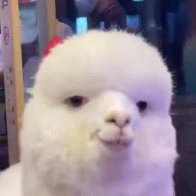 Не флиртуй с ним. Да не собираюсь я с ни