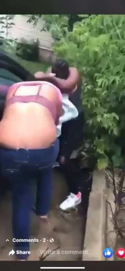 in the bushes wit it