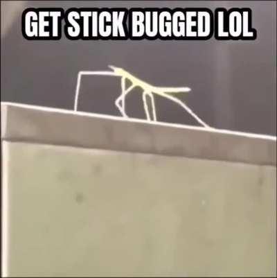 How to actually move the Grand Exchange