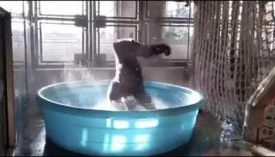 orslok preparándose para que le hagan cortesuli empresario