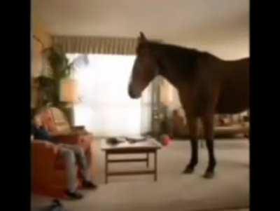 ihabihavihave: a stomache