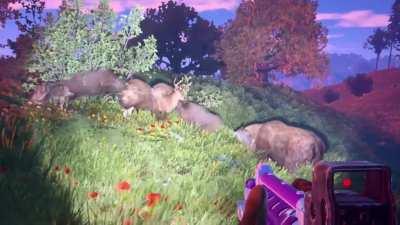 What the hell did i just walk into