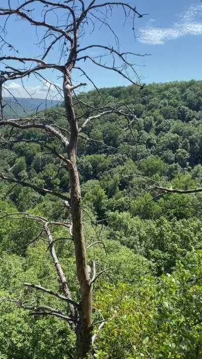 Just giving some head on the trailhead 🥵