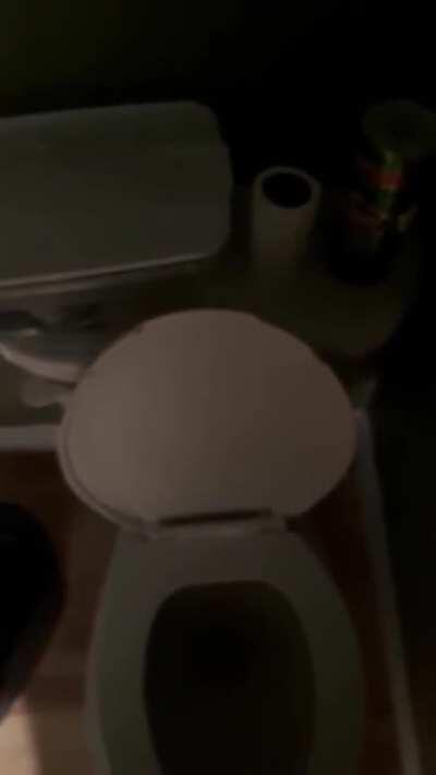 Perfectly Disgusting