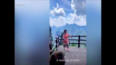 Hooligan monkey steals bag from dancing granny while she twirls for selfie video