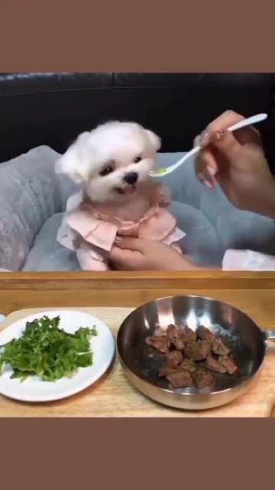 No Veggies Please 🤗🤗