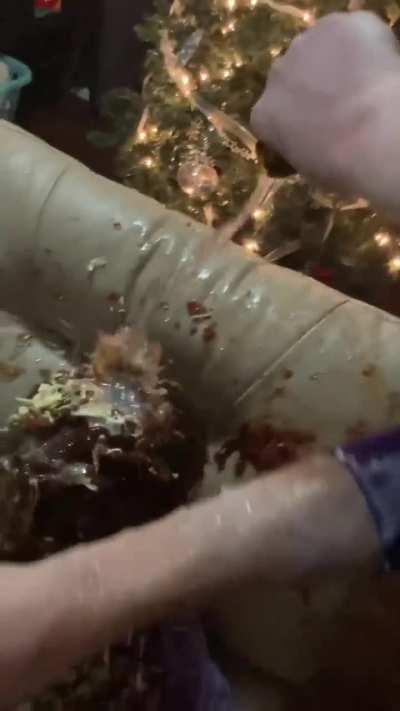 These aren't your friends bro