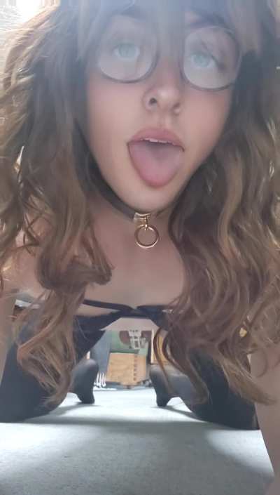 Please breed me, Daddy! I'll be such a good girl for you 🥵 kik: submissivesissynadia