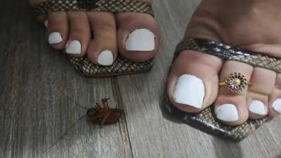 Gross little monsters are cunched properly - pt. 1