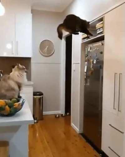 Just get into the empty space