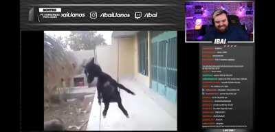 Fue bonito mientras duró 😔🌹