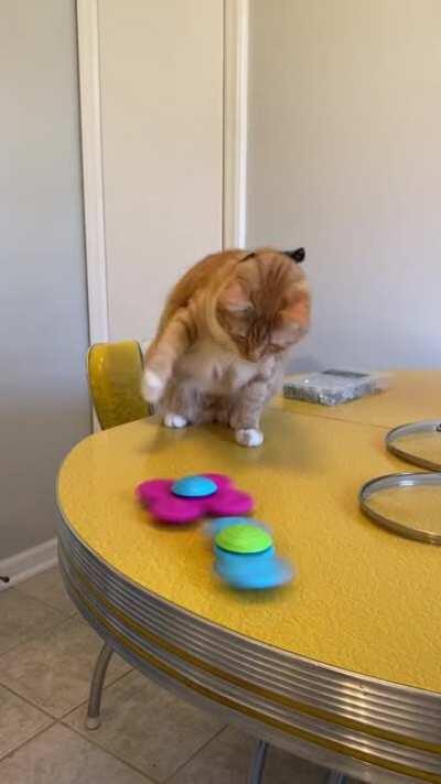 Ruby tap taps on the spinning baby toys