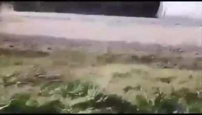 Some say that if the packs were filled with chips instead of air, this could have been avoided