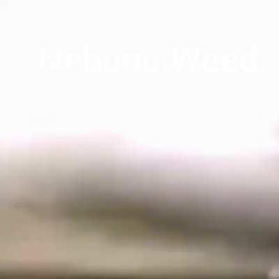 Nebunu Weed sparge calculatoru' 🤣🤣