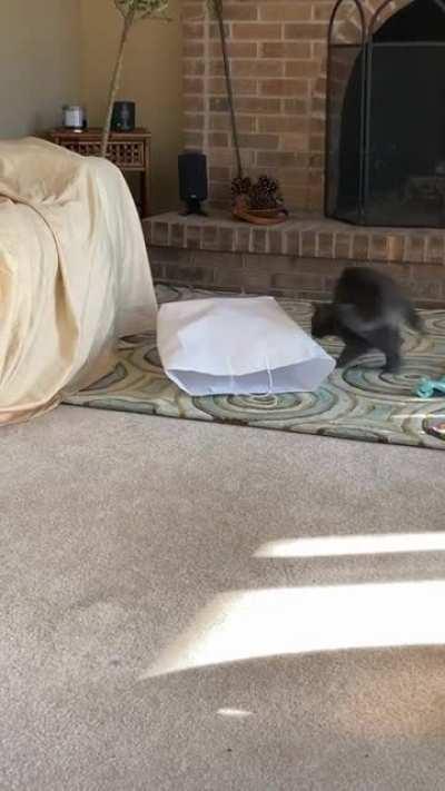 МЭЙДЭЙ МЭЙДЭЙ