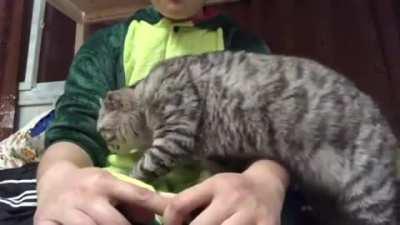 I'm just gonna sneak on to your lap here