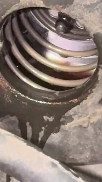 C/S my dad filled my brake fluid with power steering fluid