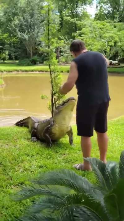 Dude recording could not believe his eyes