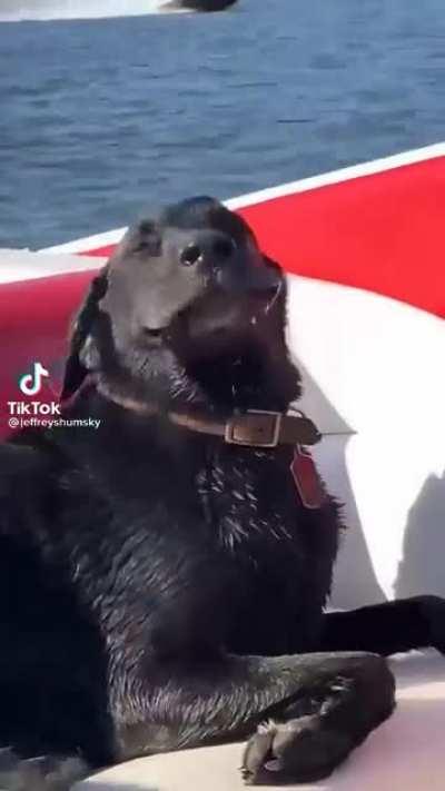 No matter how bad your day is, this is sure to make you smile