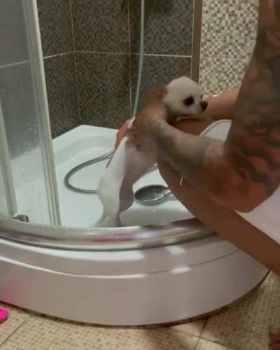 This dog out here living a better life!