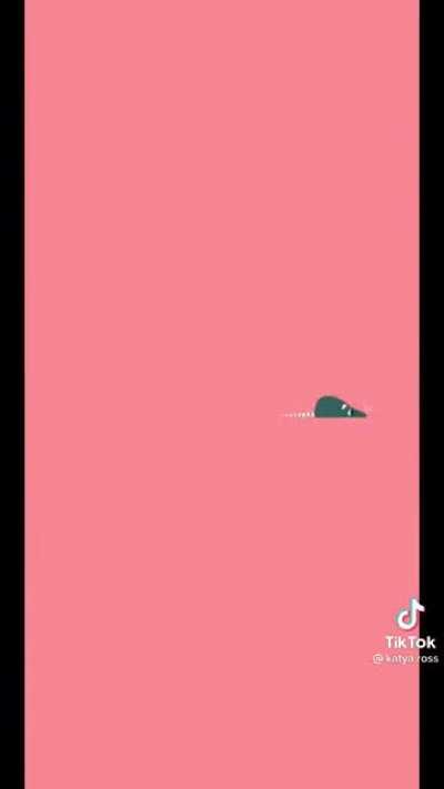 Thought you guys might like this