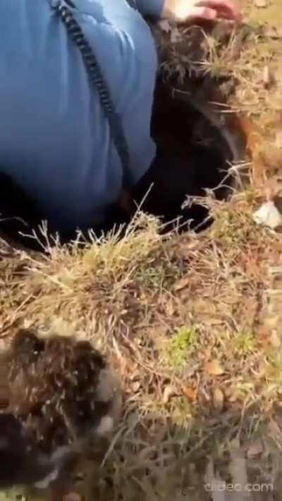 Cruel people put kittens into a sewer 