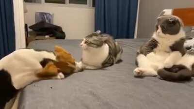 What is wrong with you?