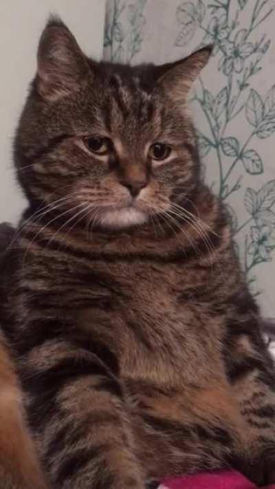 My bowl been empty for hours