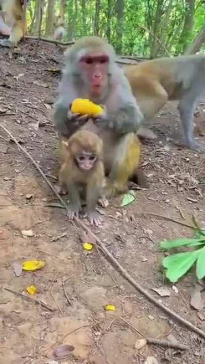 This is how you get your face ripped off