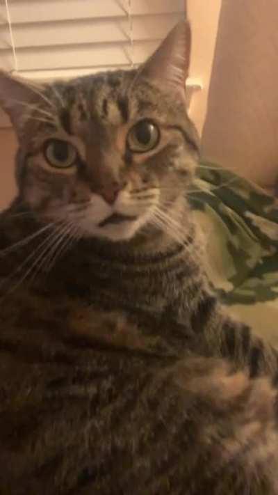 Been here 3 weeks and she is livin life