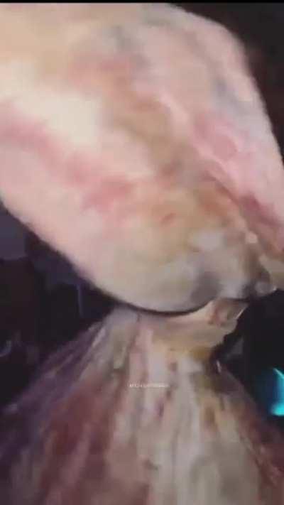 When she is in a good mood she dances☺️