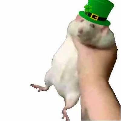 Give me more gold you useless rodent