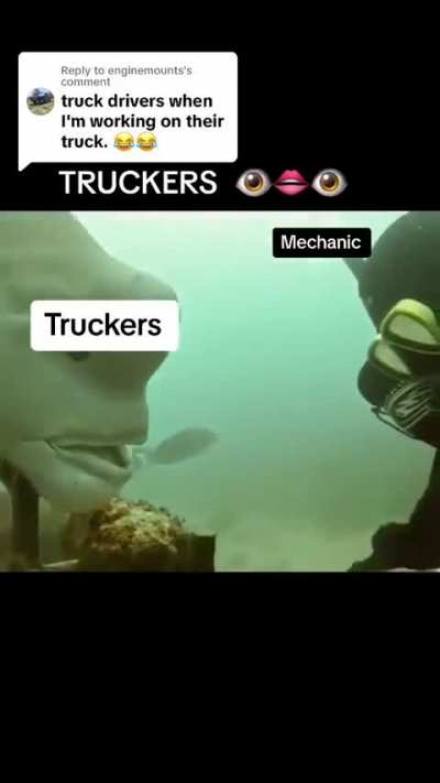 how accurate is this meme?