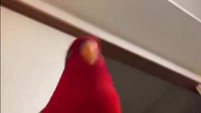 [Meme] Audio meme for y'all