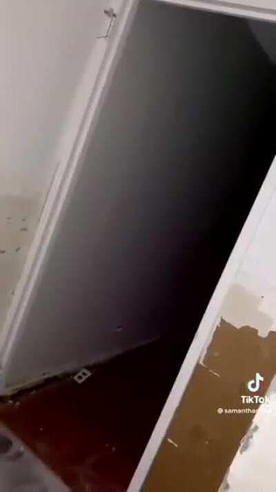 Woman discovers another apartment behind her mirror