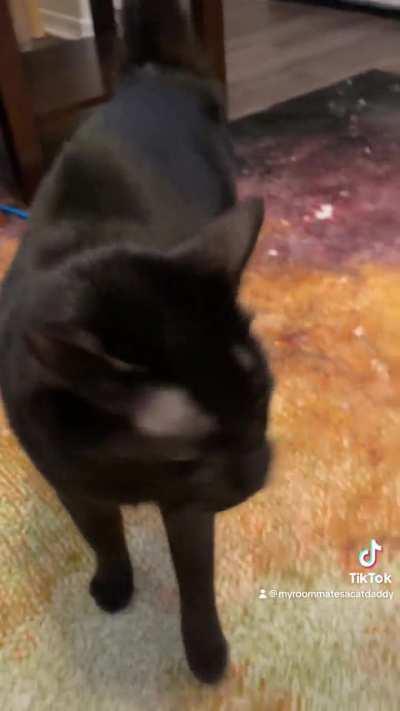 Navira and I discussing all the butt bongos she requires