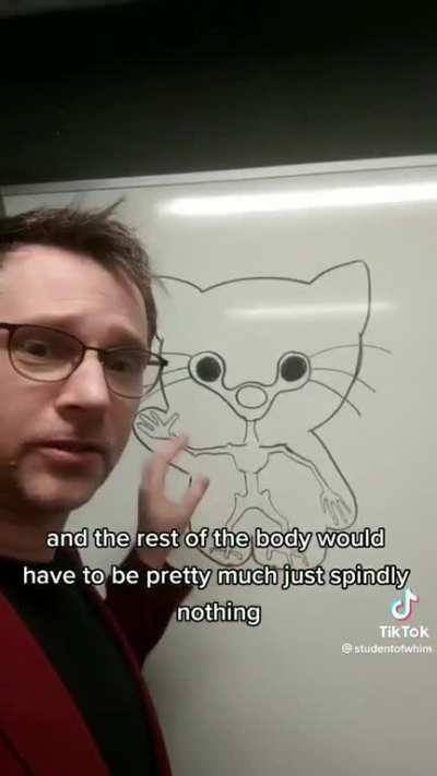 Thanks i hate hello kitty without fur.