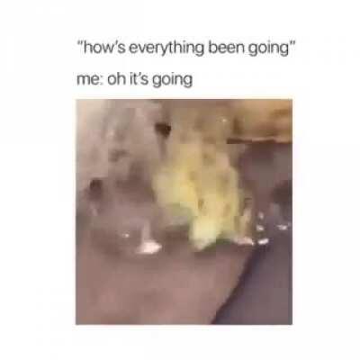 How's everything been going caw caw