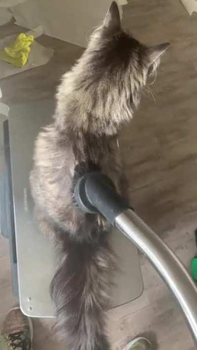 The floofuum cleaner 4000