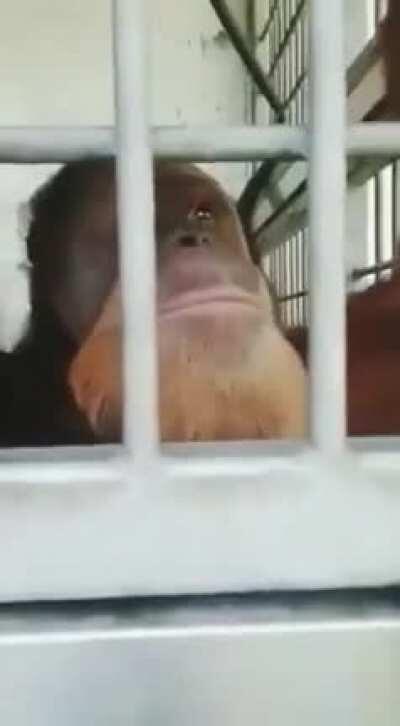 Porn from a very specific balkan country.