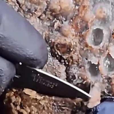 Trypophobia on a ‘hole’ new level . 