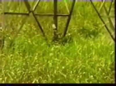 Mid 90's Brazil policemen trying to defuse a bomb.