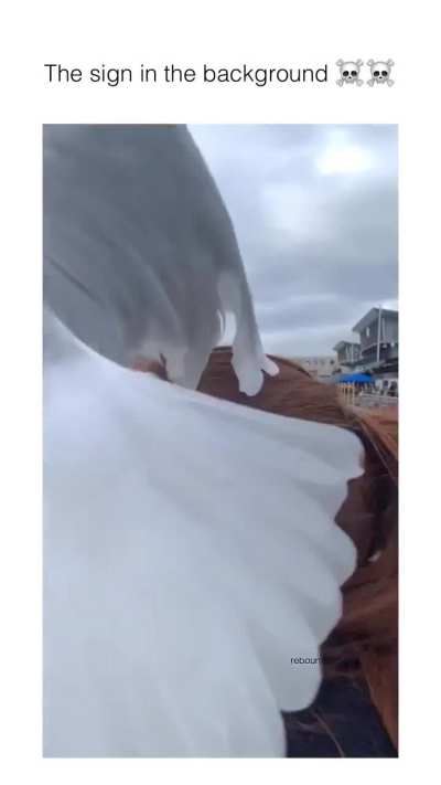 She should have known - read the sign in the background at the end