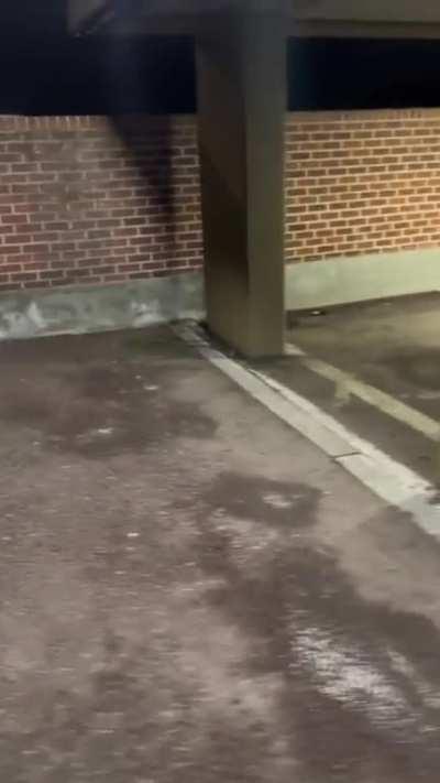 I wish her happiness