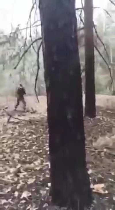 Планета обезьян